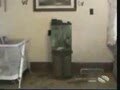 very funny cats :P